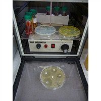 細菌感受性検査・真菌培養検査のための保温器